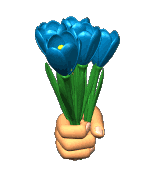 hand giving flowers