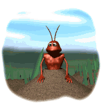 ant